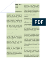 La Contaminacion Del Medio Ambiente