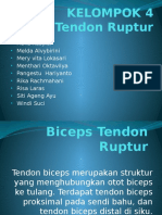 Biceps Tendon Ruptur (BNR)