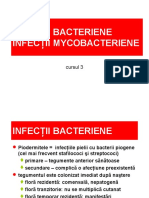 Cursul 3 Bacterii Si Mycobacterii