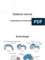 1.curs 1