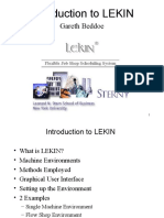 Introducción a LEKIN - Ingles