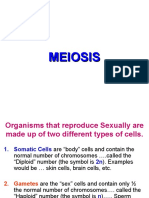 Meiosis