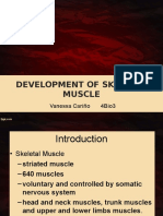 Development of Skeletal Muscle: Vanessa Cariño 4bio3