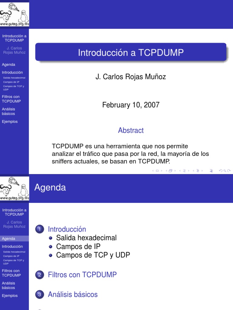 TCP Dump | PDF | Protocolo de Control de Transmisión | Dirección IP