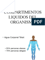 Compartimentos Liquidos Del Organismo