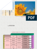 plan agregado de produccion.pdf