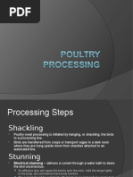 Poultry Processing Steps Explained | PDF | Poultry Farming | Poultry
