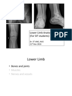 Lower Limb Anatomy (For SIT Students) : Dr. Et Ang, Nus 21 Nov 2016