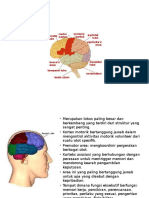anatomi dan fisiologi ssp (skizo ME).pptx
