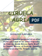 Ciruela Agria