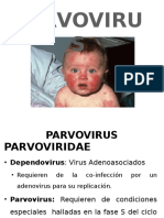 PARVOVIRUS, Picornavirus, Rabdovirus, Filovirus, Reovirus