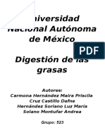 Digestion de Las Grasas - PRACTICA (1) Corregida