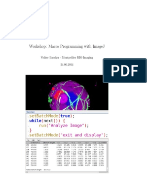 Macro Programming With Imagej Division Mathematics