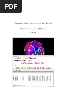 Macro Programming With Imagej Division Mathematics