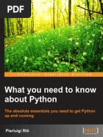 What You Need To Know About Python (Ebook) - Pierluigi Riti