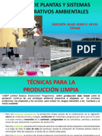 Clase 1 Tecnicas para Produccion Limpia