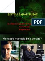 Saraf Pusat