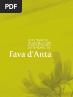 Fava Danta WEB