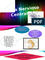 Sistema Nervioso Central