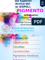 [2016.08.23] Alcívar_Guzmán_Hugo - Pigmentos