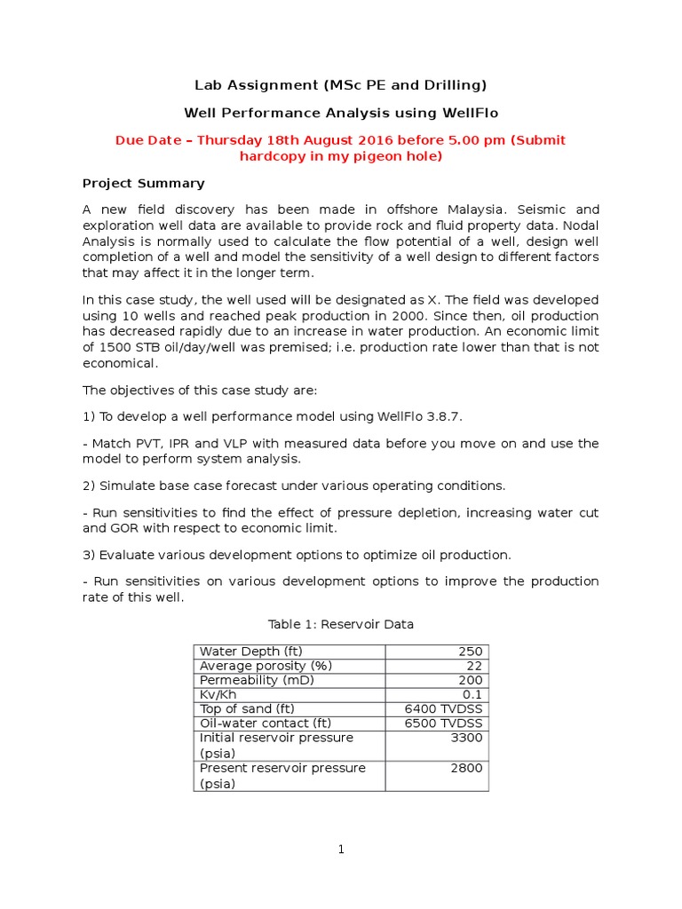 Well Performance Analysis with WellFlo | PDF | Petroleum Reservoir ...