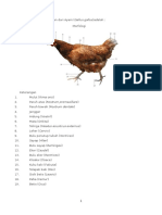Anatomi Ayam