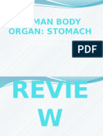 Science IV Stomach