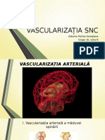 Vascularizatia SNC1