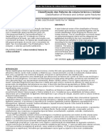 Classificacao Das Fraturas Da Coluna Toracica e Lombar