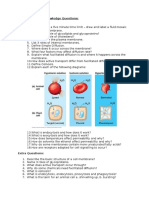 10 Qs As Lessons Membranes