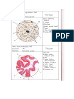 Ospe Histologi Sesuai Buku Histo