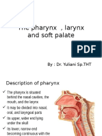 The Pharynx, Soft Palate and Larynx