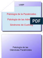 Patologia Adrenales Paratiroides Cushing_01