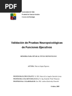 Validacion de Pruebas de Funciones Ejecutivas.pdf