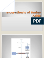 Biosinteza Aminoacizilor