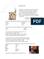 5_fisa_de_lucru_5.doc