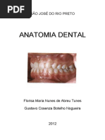 Apostila Anato Dental