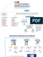 Las categorías de las palabras