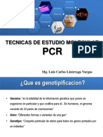 Tecnicas de Estudio Molecular: Mg. Luis Carlos Lizárraga Vargas