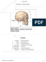 Examen Combinado
