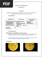Reporte de Laboratorio Practica 4