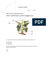 261012412 Prueba Tercero Basico Las Plantas