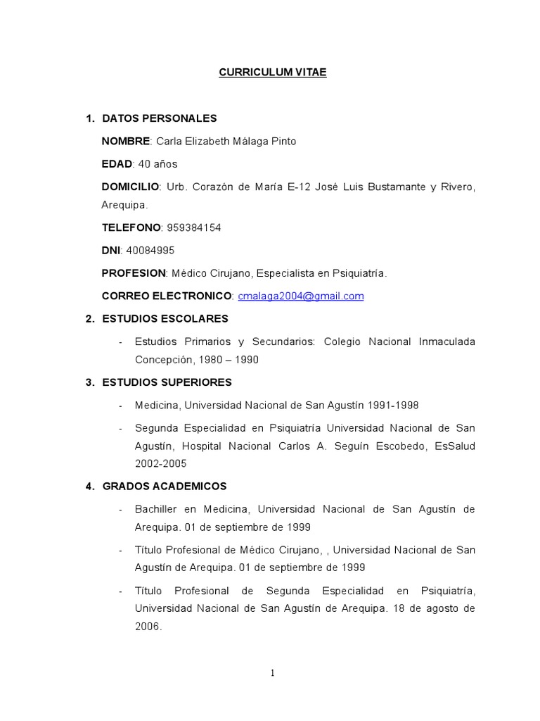 Curriculum vitae arequipa 03 image