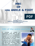 MRI of the Ankle and Foot(O Course)