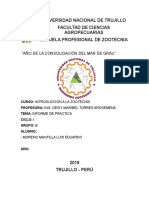 Informe de Introducción A La Zootecnia Santa Cecialia