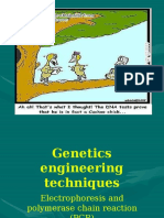 Pcr