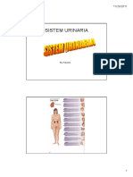 sistem-urinaria-compatibility-mode1.pdf