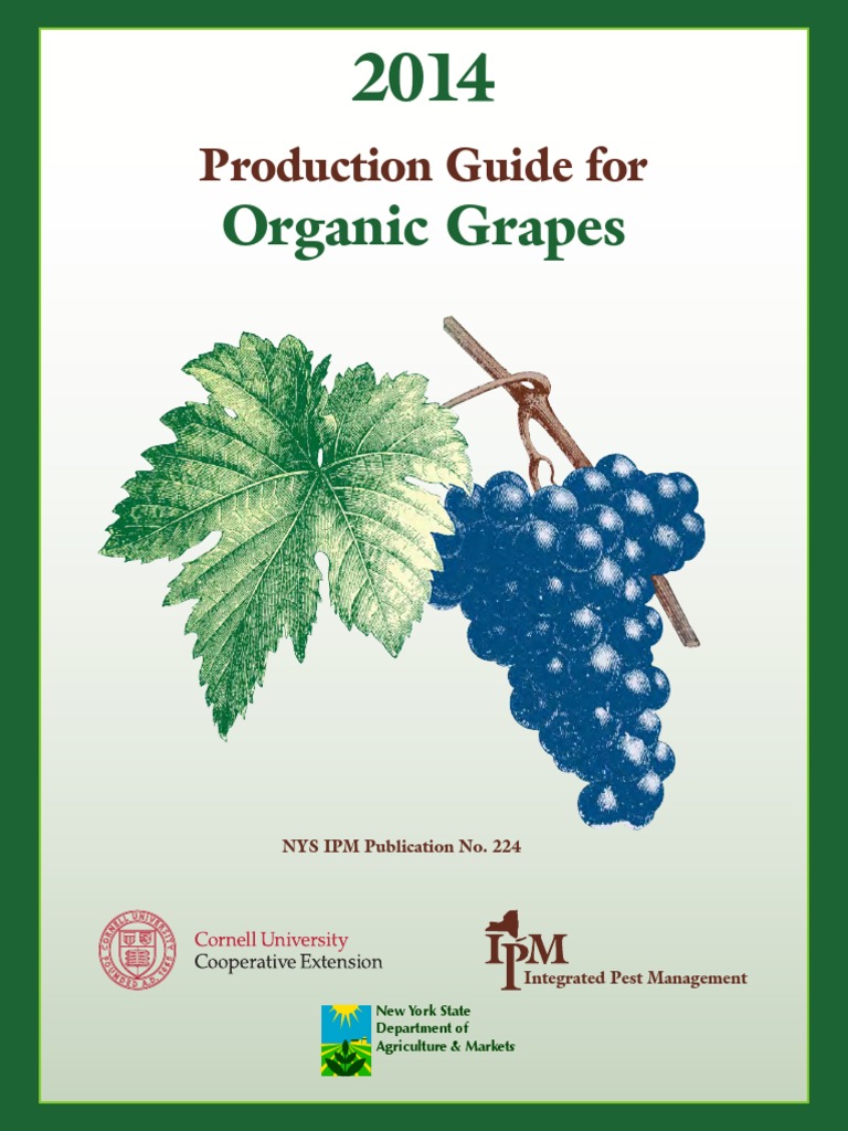Organic Grapes | PDF | Organic Farming | Plant Nutrition