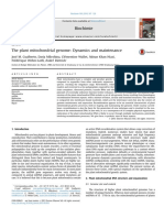 Gualberto14_plantmitgenomes