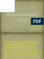 Sfantul Apostol Andrei Proiect